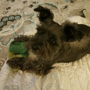 Meet your Posher, Deborah